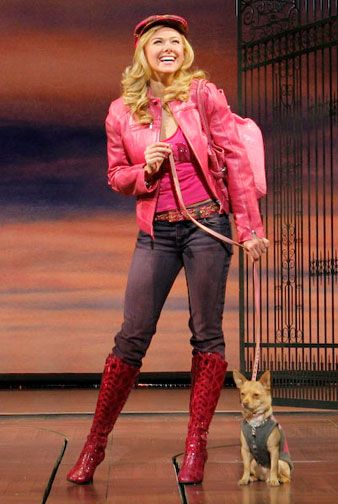 Seeing this very soon !! "This is a tragedy, and every tragedy needs a greek chorus!" ~Legally Blonde the Musical Legally Blonde Costume, Legally Blonde The Musical, Legally Blonde Musical, Musical Costumes, Elle Woods, Legally Blonde, West End, Broadway, Halloween Costumes