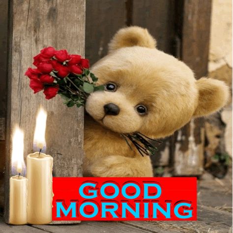 Good Morning Teddy Bear, Happy Halloween Gif, Son Quotes From Mom, Teddy Bear Images, Good Morning Flowers Rose, Teddy Day, Good Morning Happy Sunday, Birthday In Heaven, Teddy Bear Pictures