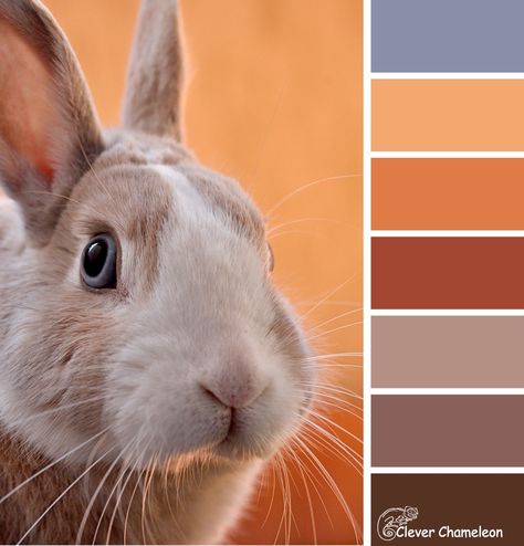 Rabbit Season colour board at Clever Chameleon. Fruit Quilt, Rabbit Season, Split Complementary Colors, Dark Paint Colors, Rabbit Colors, Quilting Blogs, Twin Quilt Size, Brown Painting, Free Motion Embroidery