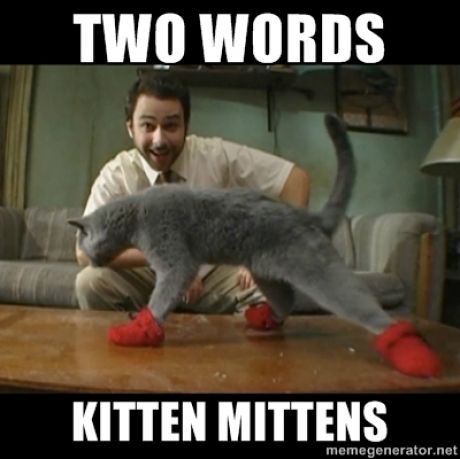 you'll be smitten Its Always Sunny In Philadelphia, Kitten Mittens, Charlie Kelly, Charlie Day, International Cat Day, Knitting Diy, Always Sunny In Philadelphia, It's Always Sunny In Philadelphia, Puppies And Kittens