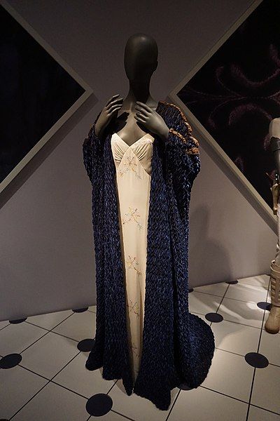 Padme Costume, Star Wars Dress, Nightgown And Robe, Star Wars Padme, Lake Retreat, Magic Dress, Star Wars Fashion, Space Fashion, Detroit Institute Of Arts