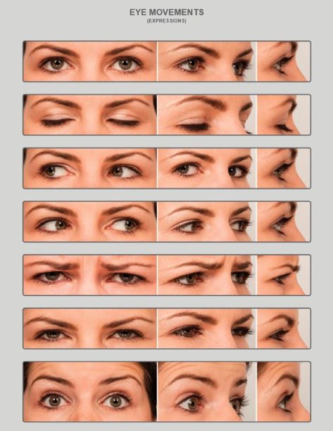 Eye Reference, Eye Study, Face Angles, Eye Expressions, Face Anatomy, Drawing Face Expressions, Expressions Photography, 얼굴 드로잉, Face Drawing Reference