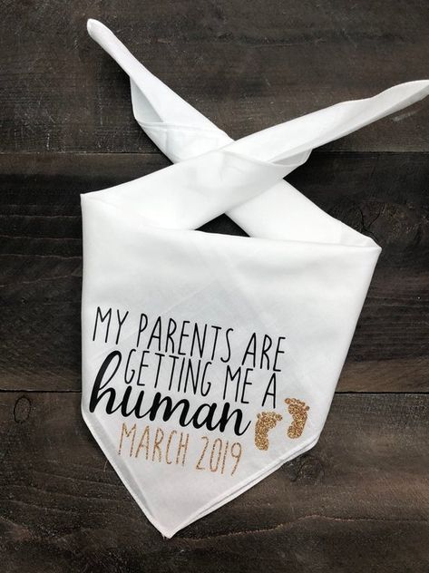 My Parents are Getting Me A Human Dog Bandana. Pregnancy | Etsy Wedding Ceremony Backdrop Diy, Pictures With Dogs, Pregnancy Announcement Dog, Dog Pregnancy Announcement, Human Dog, Awesome Mom, Pregnant Dog, Newborn Mom, Dog Insurance