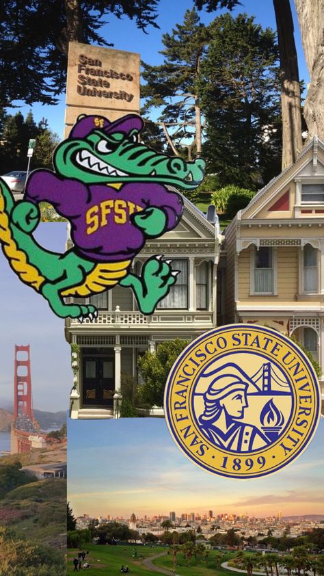 Uc San Francisco, Sf State University, San Francisco University, College Wallpaper, San Francisco State University, University Dorms, Vision Board Images, Dream Vision Board, Future Career