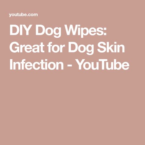 DIY Dog Wipes: Great for Dog Skin Infection - YouTube Dog Wipes, Dog Projects, Dog Skin, Every Tuesday, Dog Items, Diy Dog, Homemade Dog, Diy Dog Stuff, 10 Minute