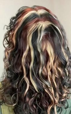 Fall Hair Ideas For Brunettes Highlights, 2c Hair Color Ideas, Hair Color Ideas For Brunettes Colorful, Blue Calico Hair, Hair Color Ideas Alt, Calico Hair On Curly Hair, Skunk Highlights Curly Hair, Red Brown And Blonde Hair, Black Red And Blonde Hair