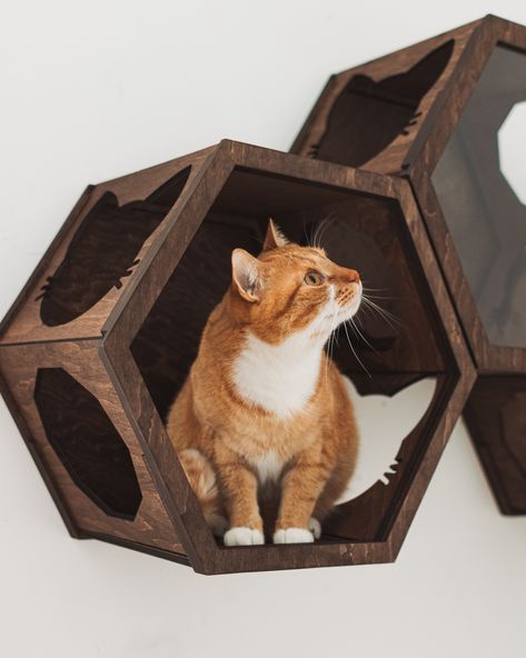 😻 Hexagon shelves for cats 😻  If you are a cat lover or cat owner, you definitely know how much your cat needs entertainment right inside the house. We are cat owners and we KNOW!  Wall shelves for cats will be a wonderful wall decor and will save your space for other things, rather than the cat’s stuff. The hexagon shelves for cat will keep your lovely pet entertained and quite if guests came. Kennel Side Table, Modern Pet Furniture, Modern Cat Bed, Cat Kennel, Modern Cat Furniture, Pine Table, Cat Shelves, Modern Pet, Modern Cat