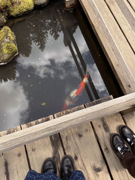 #japanese #garden #fish #aesthetic #shoes #fashion #docmartens #cloudy Fish Asthetic Picture, Fish Aesthetic, Downtown Aesthetic, Asthetic Picture, Japanese Fish, Aesthetic Shoes, Koi Pond, Koi Fish, Japanese Garden