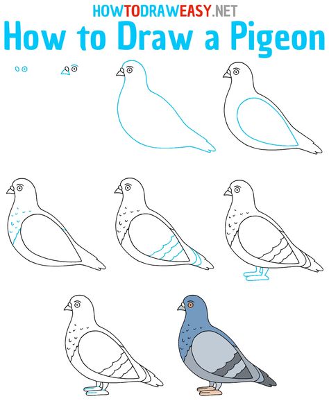 How to Draw a Pigeon Step by Step #Pigeon #PigeonDrawing #EasytoDrawPigeon #HowtoDrawPigeon #PigeonStepbyStepDrawing #Drawings #Drawing #EasyDrawing #DrawingTutorial #HowtoSketch #Sketch #AnimalDrawing #AnimalDrawings #DrawingGuides #EasyDrawingGuides #EasyDrawingTutorials Pigeon Doodle Easy, How To Draw A Pigeon Step By Step, Silly Pigeon Drawing, Pigeon Sketch Drawings, Funny Pigeon Drawing, Pigeon Drawing, Simply Draw, Simple Bird Drawing, Draw Rose