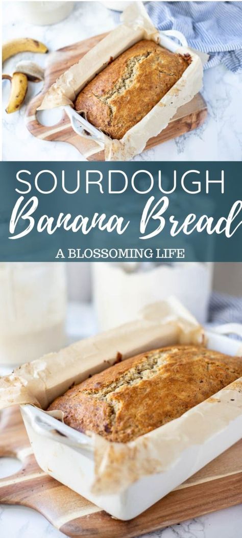 Fermented Grains, Sourdough Banana Bread Recipe, Sourdough Banana Bread, Sourdough Banana, Healthy Banana Bread Recipe, Banana Bread Recipe Healthy, Sourdough Starter Discard Recipe, Sourdough Starter Recipe, Healthy Banana Bread