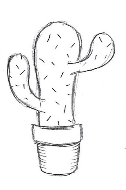 Cactus, Paint