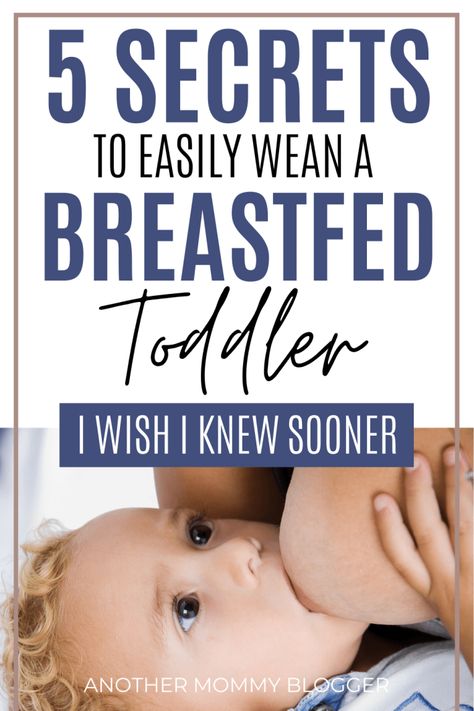 Easily learn how to stop breastfeeding a toddler quickly with these weaning tips. #breastfeeding #toddler How To Wean Toddler From Breastfeeding, Weaning Toddler From Nursing, How To Stop Breastfeeding A Toddler, How To Wean Baby From Breastfeeding, How To Stop Breastfeeding, Mommy Problems, Weaning Breastfeeding, Weaning Toddler, Breastfeeding Nutrition