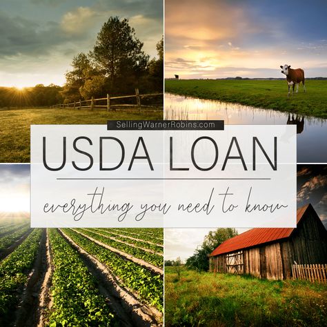 Usda Loans First Time, Usda Home Loan First Time, Farm Grants, Land Layout, Buying Land, Usda Loan, Buying First Home, House Buying, Rural Land