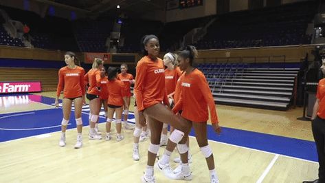 Clemson Volleyball, Clemson University, New Picture, College Experience, Women Volleyball, Clemson Tigers, New Pictures, Tigers, Volleyball