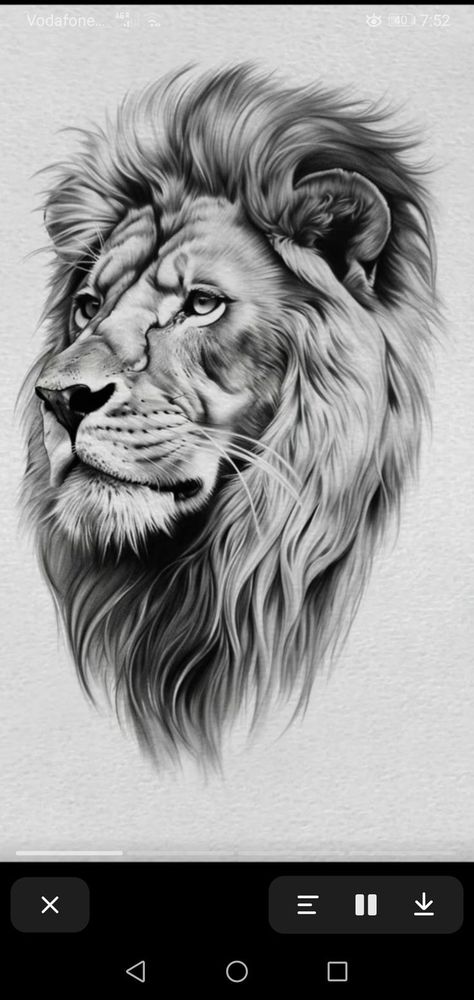 Lion Lioness Tattoo Design, Realism Lion Tattoo Design, Lion Realism Tattoo, Lion Tattoo Drawing Sketches, Roaring Lion Tattoos For Men, Lion Design Tattoo, Lion Drawing Tattoo, Lion Tattoo Design Stencil, Lion Sketch Tattoo