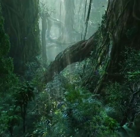 Pandora Landscape Avatar, Forest Of Pandora, Pandora Forest Aesthetic, Pandora Forest Avatar, Avatar Shifting Visuals, Avatar Background Pandora, Avatar World Pandora, Pandora Scenery, Pandora Avatar Landscapes