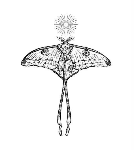 Luna Moth Sternum Tattoo, Moth Meaning, Moth Tattoo Meaning, Lunar Moth Tattoo, Luna Moth Tattoo, Moth Tattoo Design, Tattoo Shading, Lunar Moth, Insect Tattoo