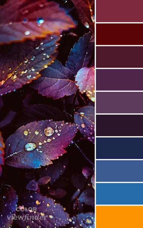 Jewel Colour Palette, Jewel Tone Aesthetic, Dark Jewel Tone Color Palette, Witchy Color Palette, Jewel Tone Christmas, Palette Cake, Deep Jewel Tones, Jewel Tones Palette, Tone Color Palette