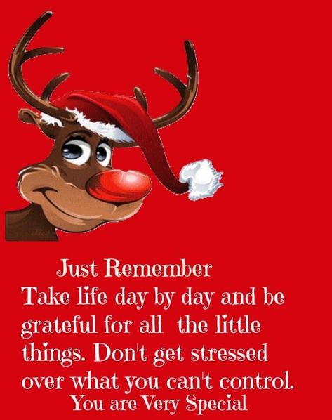 Happy Christmas Quotes, Christmas Morning Quotes, Family On Christmas, Christmas Quotes Inspirational, Christmas Verses, December Quotes, Christmas Thoughts, Family Peace, Thinking Of You Quotes