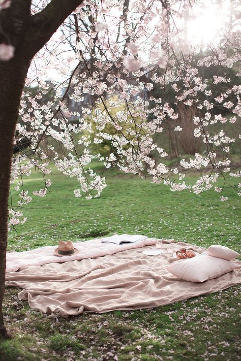 Sakura Tree, Care For Others, The Emotions, Blossom Tree, Human Activity, Cherry Blossom Tree, Life Well Lived, Blossom Trees, Spring Vibes