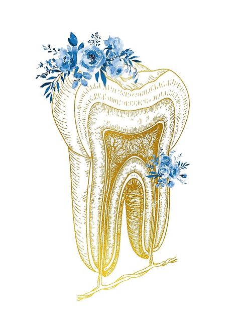 Human tooth structure, watercolor, medical art, science,flower, floral, floral medical art, flowers, gold, golden art, gold foil • Millions of unique designs by independent artists. Find your thing. Tooth Structure, Dental Pictures, Dental Wallpaper, Dentist Art, Dental Posts, Kedokteran Gigi, Teeth Art, Dentistry Student, Dental Anatomy