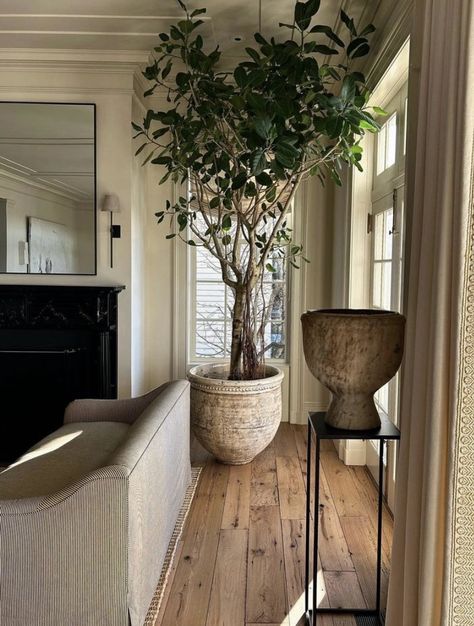 Indoor Trees, Living Room Flooring, Diy Life Hacks, Contemporary Home Decor, Amazon Home, Home Decor Trends, Outdoor Plants, Dream Home Design, Home Decor Furniture