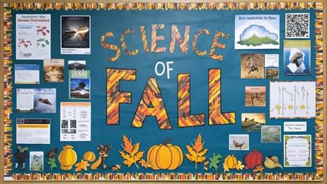 10 Fall Bulletin Board Ideas for Classrooms Fall Bulliten Boards Ideas, Fall Wellness Bulletin Board, Fall Themed Library Bulletin Boards, Nuts About Fall Bulletin Board, Teacher Lounge Bulletin Board Fall, Happy Fall Y'all Bulletin Board, Middle School Bulletin Boards, November Bulletin Boards, Science Bulletin Boards