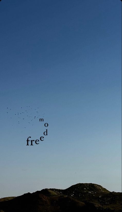 #freedom #birds #sky #lebanon #aesthetic #quotes #pinterest #tiktok #explore #trendy #tbt Time Freedom Aesthetic, Freedom Aesthetic Wallpaper, Freedom Astethic, Lebanon Quotes, Lebanon Aesthetic, Freedom Wallpaper, Tbt Quotes, Single Line Quotes, Freedom Aesthetic