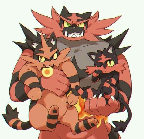 Pokemon Incineroar, Fire Pokemon, Solgaleo Pokemon, Pokemon Starters, Pokemon Alola, Whatsapp Wallpaper Cute, Pokemon Sun And Moon, Cute Pokemon Pictures, Pokemon Images