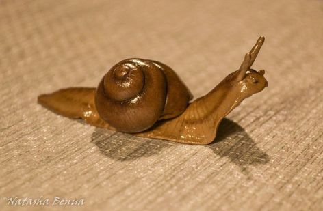 Diy Clay Snails, Polymer Clay Decor Home, Snail Clay Sculpture, Clay Garden Sculptures, Clay Snails Sculpture, Air Dry Clay Snail, Polymer Clay Snails, Nature Clay Projects, Clay Slug