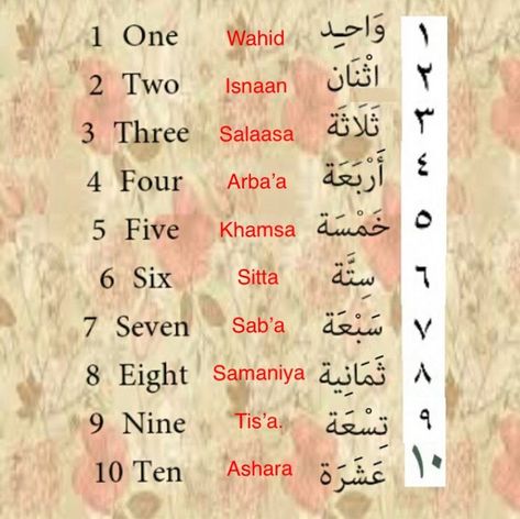 Basic Arabic, Arabic Conversation, Learning Arabic For Beginners, Arabic Verbs, Arabic Learning, Learning Languages Tips, Arabic Numbers, Learn Arabic Online, Arabic Phrases