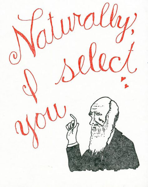 Funny Nerdy Valentine's Day Cards Nerdy Valentines Cards, Science Valentines, Nerdy Valentines, My Funny Valentine, Charles Darwin, Handmade Valentine, Nerd Alert, Geek Out, Geek Culture