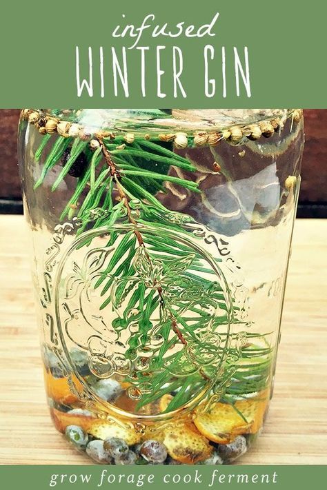 Have you ever made your own gin? It's so much fun, and so easy! This winter gin is infused with fresh foraged juniper berries, white fir, and lots of winter herbs and spices. It's refreshing and aromatic, and a perfect winter foraging recipe. This homemade infused winter gin is the perfect recipe for the holidays to indulge in yourself, or give as a gift. #gin #foraged #infusion #alcohol #cocktail #homemade Winter Foraging, Winter Herbs, Homemade Gin, Make Your Own Gin, Gin Recipe, Pickle Vodka, White Fir, Infused Gin, Foraging Recipes