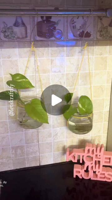 Money Plant Hanging Ideas, Money Plant Decor Ideas, Hanging Planters Diy, Diy For Garden, Diy Hanging Planters, Hanging Propagation Station, Diy Hangers, Hanging Propagation, Planters Diy