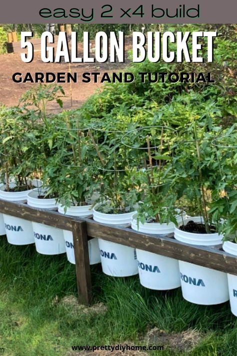 Tired of your 5-gallon bucket garden being messy and disorganized. Build a stand to showcase your plants and save room in your outdoor area. Bucket Garden Stand, Gallon Bucket Garden, 5 Gallon Bucket Garden, Bucket Garden, Tomato Planter, Growing Vegetables In Pots, Bucket Gardening, Vegetable Garden Planning, Raised Garden Beds Diy