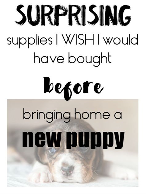 Make sure to check out this list of surprising puppy supplies before your new puppy comes home! Make sure to check out #5! First Puppy, Puppy Items, Puppy Obedience Training, Puppy Time, Puppies Tips, Positive Dog Training, Easiest Dogs To Train, House Training Dogs, Best Puppies