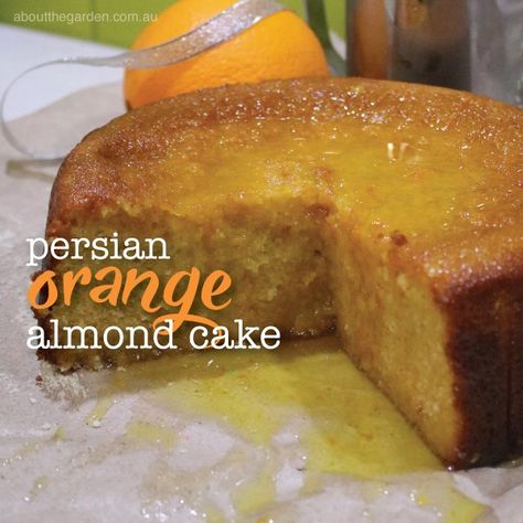 Italian Gluten Free Almond Orange Cake, Almond Cake Gluten Free, Orange Almond Cake, Orange Cakes, Orange And Almond Cake, Syrup Cake, Gluten Free Cake Recipe, Cake Gluten Free, Almond Cake Recipe