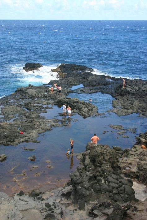 Olivine Tide Pool in Maui...awesome little discovery! Swimming in the protected tide pool was so fun and refreshing! Olivine Pools Maui, Maui Activities, Maui Hawaii Vacation, Tide Pool, Trip To Maui, West Maui, Maui Travel, Hawaii Maui, Maui Vacation