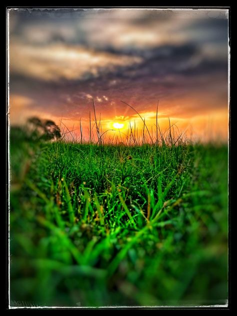 Shinning sun and dew All Begraund, Nature Photography Good Morning, Sun Background For Editing, Morning Background Wallpapers, Natural Background For Editing, Morning Background, Dslr Blur Background, Photoshop Backgrounds Backdrops, Lightroom Presets For Portraits