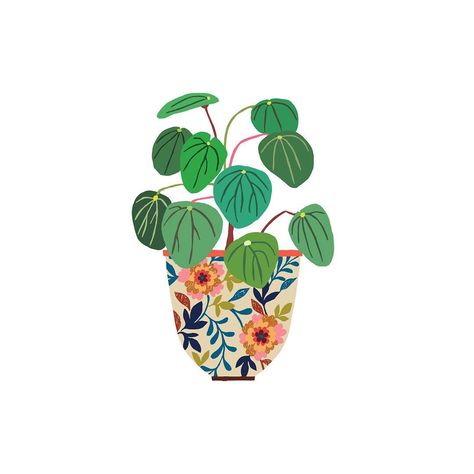 New #Pilea plant giclée limited edition Print will be with me at @fresh_artisanmarket 22/23 September. Also now available online via my… Pilea Plant, Be With Me, 23 September, Plant Illustration, Brie, Buzzfeed, Limited Edition, Sketch, Instagram