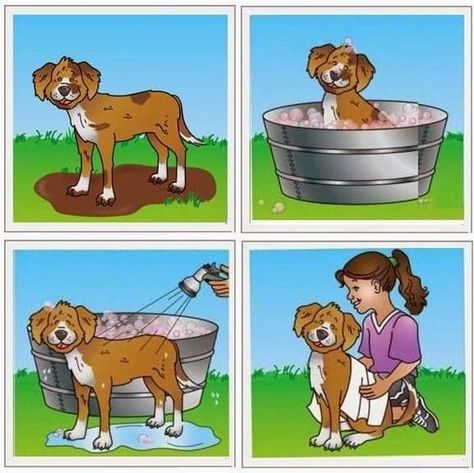 Story Sequencing Pictures, Sequencing Activities Kindergarten, Sequencing Pictures, Sequencing Worksheets, Sequencing Cards, Story Sequencing, Sequencing Activities, Picture Story, Speech Therapy Activities