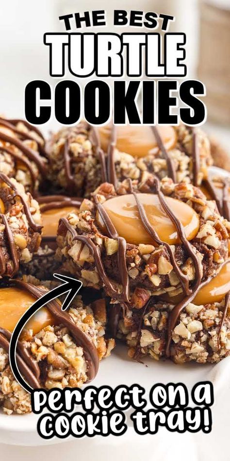 Chocolate Turtle Cookies Recipe, Turtle Pecan Cookies, Pecan Turtle Delight Cookies, Double Chocolate Turtle Cookies, Crumble Turtle Cookies, Turtle Cookies Recipe Caramel Pecan, Chocolate Pecan Turtle Clusters, Chocolate Turtle Cookies, Pecan Caramel Chocolate Turtles