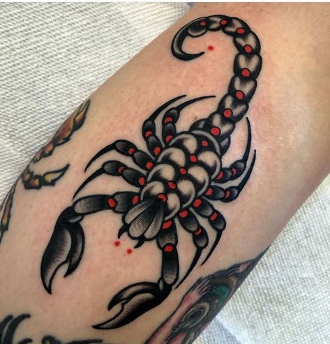 #tattoo #tattoos #inked #tattooart #tattooed #tattooideas #tattoodesign #tattooinspiration #tattoosleeve #tattooflash #inkedgirls #tattooedwomen  #InkLaughs  #TattooFails Black And Red Neo Traditional Tattoo, Neo Traditional Scorpion Tattoo, Trad Scorpion Tattoo, American Traditional Spider Tattoo, Scorpion Tattoo Traditional, American Traditional Scorpion Tattoo, Traditional Scorpion Tattoo, Trash Polka Tattoo Designs, Traditional Black Tattoo