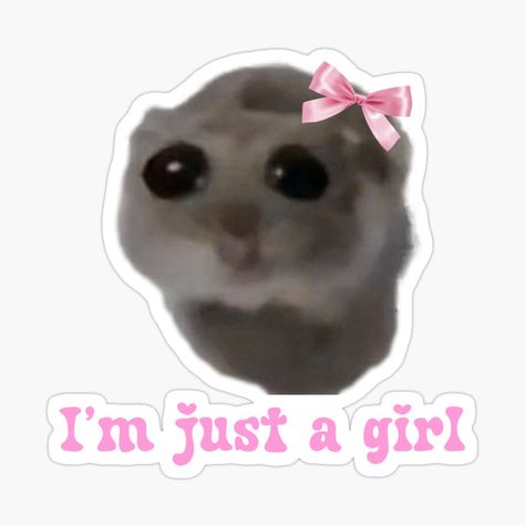 Get my art printed on awesome products. Support me at Redbubble #RBandME: https://www.redbubble.com/i/sticker/Sad-hamster-I-m-just-a-girl-by-suzancreations/159288263.EJUG5?asc=u I Am Just A Girl Sticker, Im Just A Girl Hamster, I M Just A Girl, Rave Totems, I’m Just A Girl, Silly Animal Pictures, Girls Stickers, Im Just A Girl, Best Friend Wallpaper