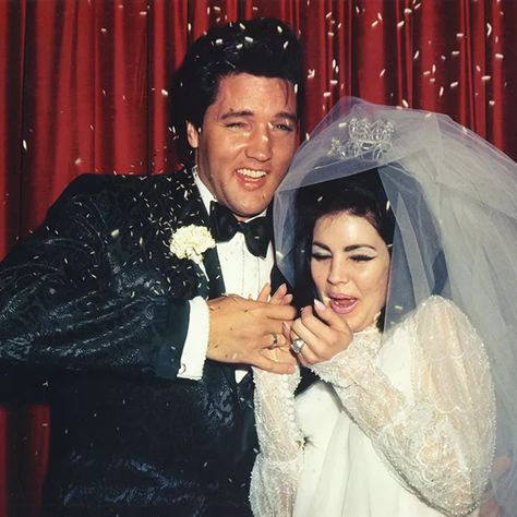 Priscilla Presley Wedding, Elvis Wedding, Elvis Presley Priscilla, Elvis And Me, Celebrity Wedding Photos, Cassandra Peterson, Wedding Dress Gallery, Tom Jones, Elvis And Priscilla