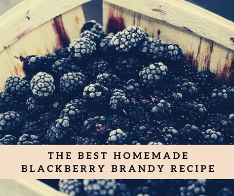 Homemade Blackberry Brandy, Homemade Brandy Recipes, Blackberry Brandy Recipe, Blackberry Liquor, Blackberry Liqueur Recipes, Homemade Groceries, Homemade Brandy, Liquor Ideas, Homemade Still