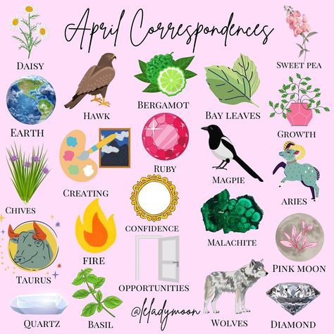 Awaken Your Inner Magic💎🌙 on Instagram: “Happy April, witches! 🌼 I posted the Planetary Forecast Calendar, Moon Phase Calendar & Moon and Mood Tracker printables for the month on…” April Correspondences, Birthday Month Flowers, Moon Phase Calendar, Wiccan Magic, Happy September, Book Of Shadow, Wicca Witchcraft, Baby Witch, Modern Witch