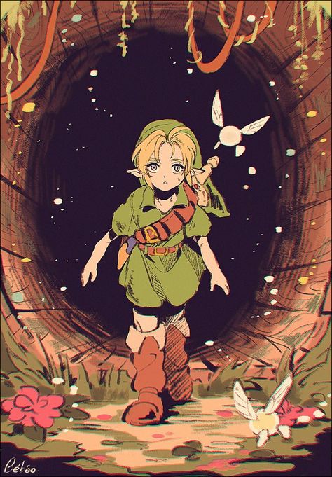 Ocarina Of Times, Zelda Ocarina Of Time, Legend Of Zelda Art, Legends Of Zelda, Majoras Mask, Wind Waker, Link Zelda, Zelda Art, Ocarina Of Time