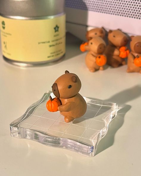 ଘ(੭ˊᵕˋ)੭* ੈ✩‧˚ i made pumpkin capybara desk friend for this fall season!! i'll be adding her to my shop very soon! (the ones in the back are the ones who didnt make the final cut..) #autumn #smallbusiness #capybara #pumpkinspice #cute #matcha #coffee #coquette #desksetup Clay Capybara, Bear Clay, Desk Friend, Clay Pumpkin, Matcha Coffee, Clay Bear, When Life Gets Tough, Cute Desk, Cute Clay