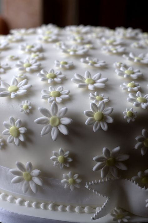 Daisy Cake, Daisy Cakes, Cake Art, Daisy, Birthday Cake, Pasta, Weddings, Cake, Birthday